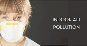 Causes, Effects and Controls of Indoor Air Pollution