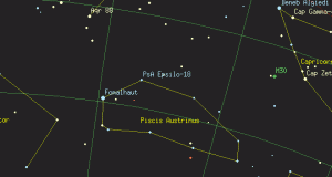 The Constellations Piscis Austrinus and Grus