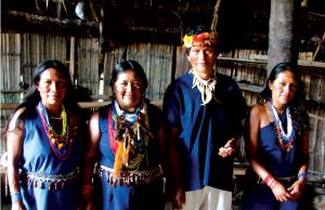 Ethnotourism in Ecuador's Rainforest Communities