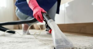 How Much Does It Cost To Hire a walmart carpet cleaner rental Service