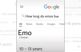 How Long Do Emos Live?