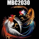MBC2030 Live