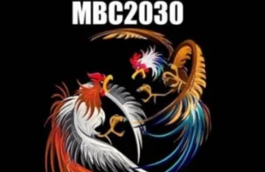 Free MBC2030 Live Complete Guide To Register and Login MBC2030 Live