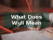 What does WYLL mean in text on TikTok? - Tech Preview