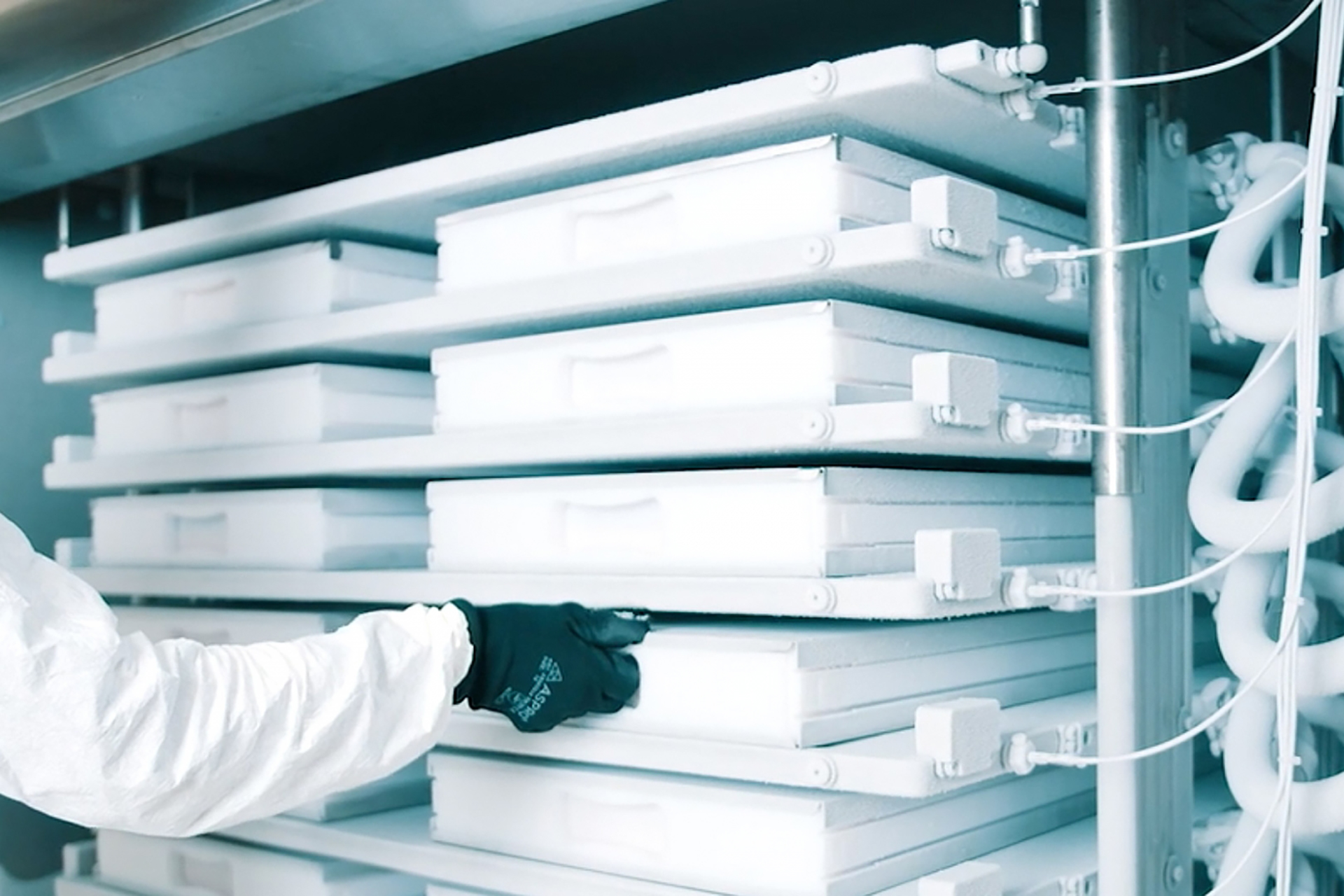 Advancements in High Speed MicrobialFermentation