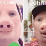 John Pork meme explained as TikTok mourns death of pig meme - Tech Preview