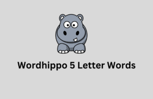Wordhippo 5 Letter Words: Everything You Need to Know - Tech Preview