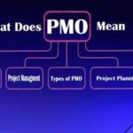 What does PMO Mean in Text