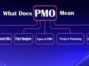 What does PMO Mean in Text What does PMO Mean in Text