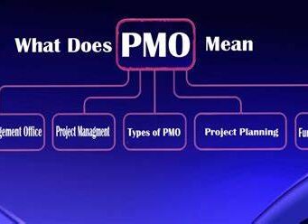 What does PMO Mean in Text