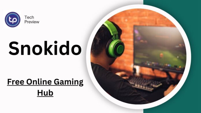 Fun with Snokido: The Free Online Gaming Hub Fun with Snokido: The Free Online Gaming Hub
