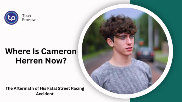 Where Is Cameron Herren Now? Where Is Cameron Herren Now?