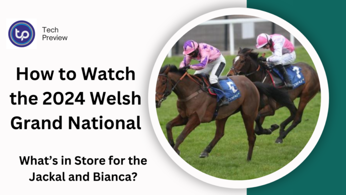 How to Watch the 2024 Welsh Grand National How to Watch the 2024 Welsh Grand National