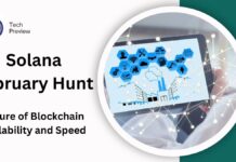 Solana February Hunt: Exploring the Future of Blockchain Scalability and Speed Solana February Hunt